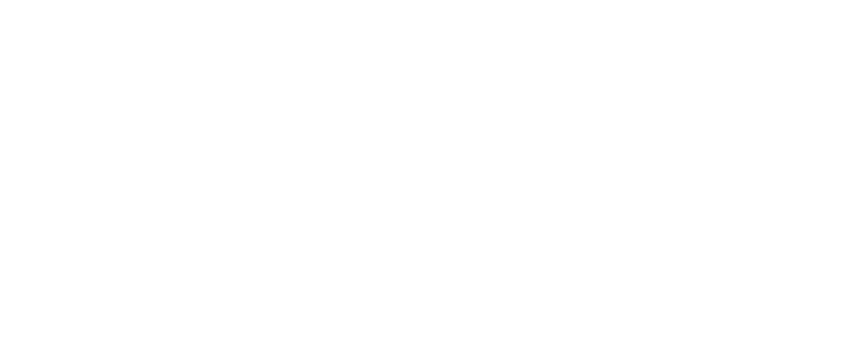 Raulauto
